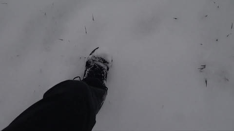 Man walking in the snow in winter 038478400 1640639675