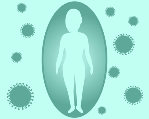 Immune system protection from viruses