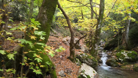 Aerial Small River