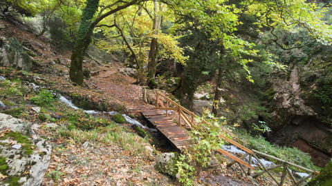 Aerial Small River