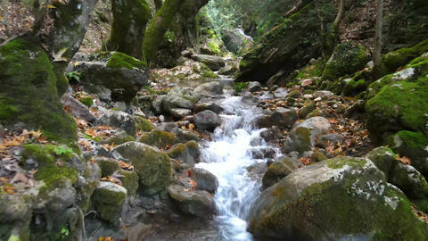 Aerial Small River
