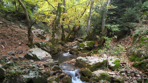 Aerial Small River