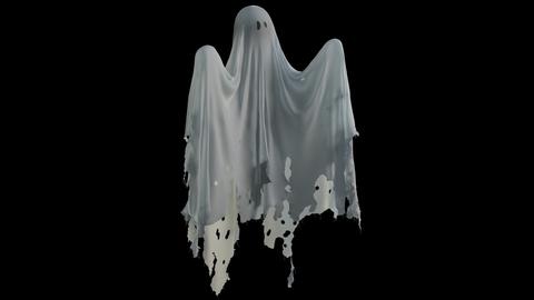 High Poly Ghost Model 2 3D model 19227944 | MotionElements