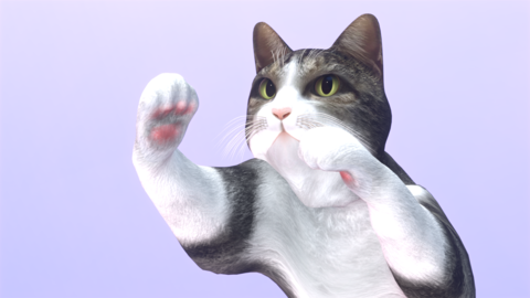 Cat 3D model