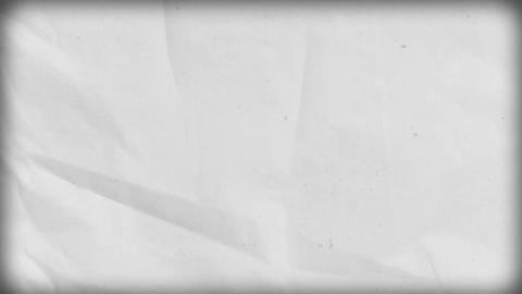 Old Film Texture Gif Tree Pine GIF Find & Share On GIPHY