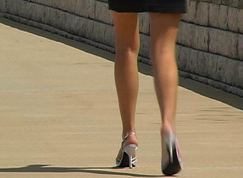 Luscious Female Legs