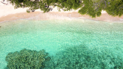Beautiful 4K tropical beach aerial - a bird's eye view of ocean waves crashing