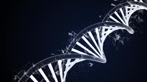 3d Dna Structure Animation