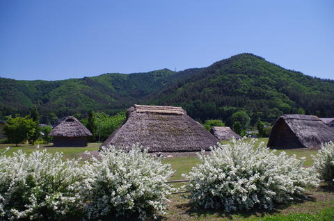 IMGP5842