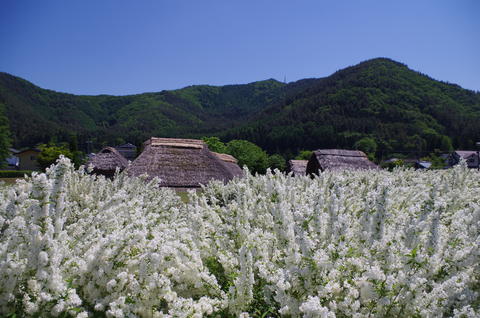 IMGP5837