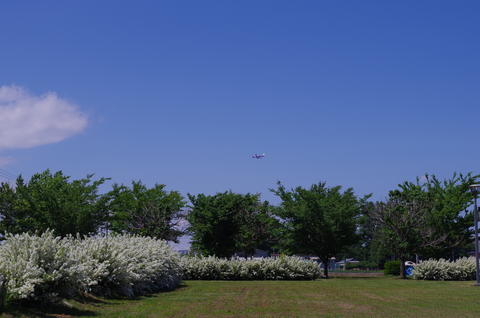 IMGP5853