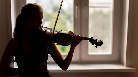 Violinist