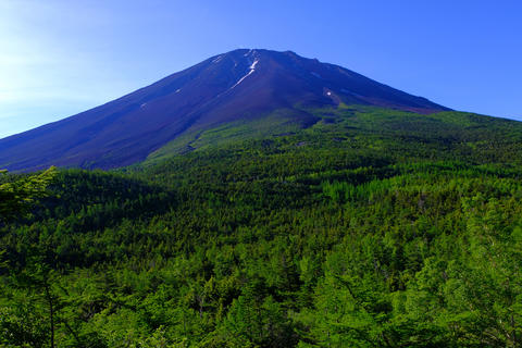 Mt. Fuji from Okuniwa