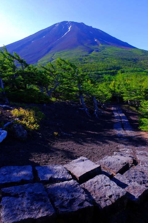 Mount Fuji from Okuniwa Nature Park in June