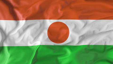 The flag of Niger flutters in the wind. Animation 3d