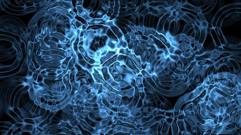amoeba fusion