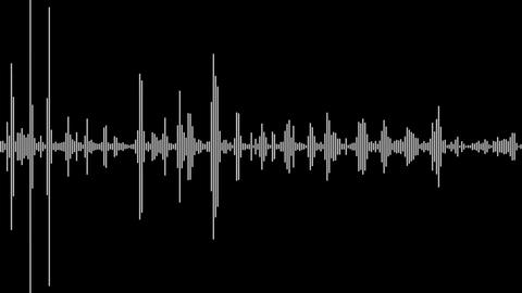 sound wave matte