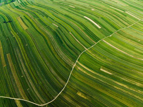 Aerial view of decorative ornaments of diverse green fields. Suloszowa, Poland