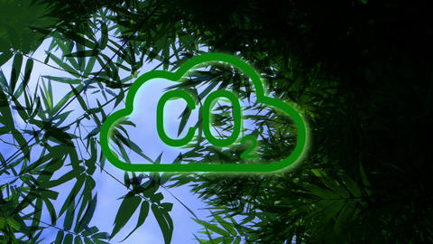 Bamboo CO2 Dissolve Blur