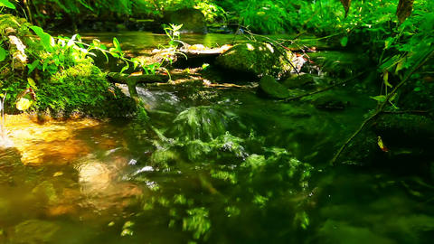 mountain stream