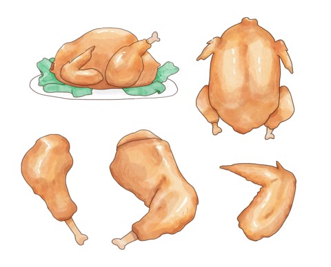 Roast Turkey. Chicken. Gourmet. Illustration. Festive. Christmas. Thanksgiving