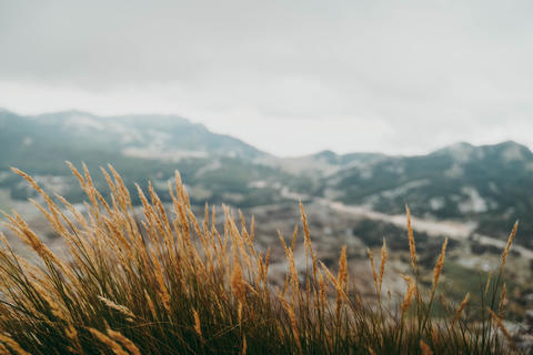 View of autumn mountains with dry grass in the foreground