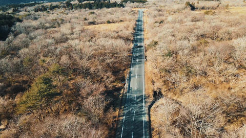 【4K】ドローン空撮による森林の中にある道路を走る車