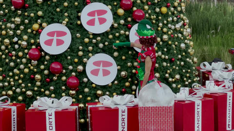 christmas elf in front of a christmas tree with gifts, mexico