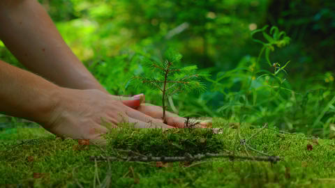 Earth Day