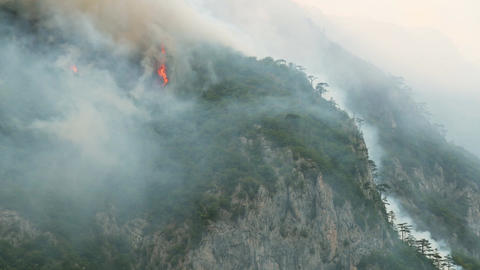 Wild fire over mountain forest near Lake Piva in Montenegro in August of 2021
