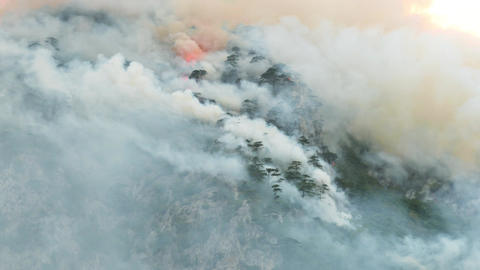 Wild fire over mountain forest near Lake Piva in Montenegro in August of 2021
