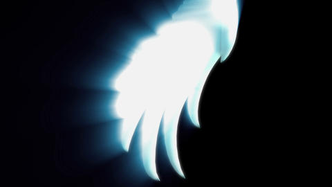 HD N 0016