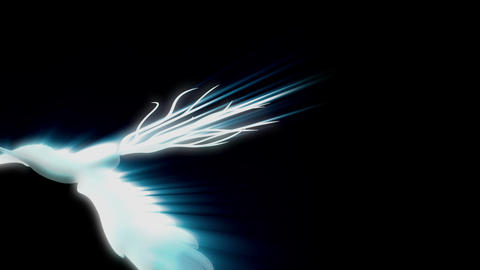 HD N 0017