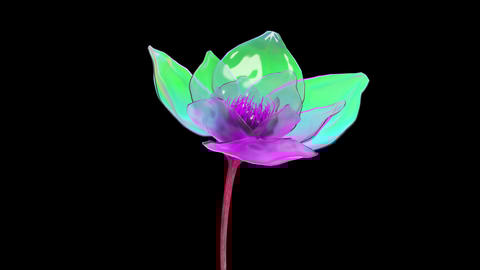 Stock animation