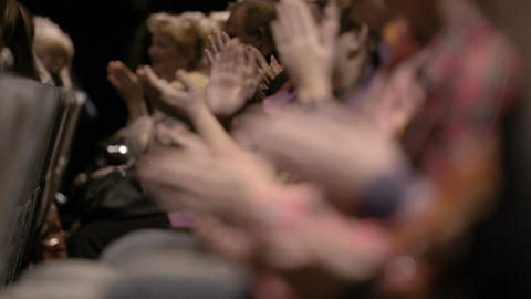 Audience applauding, during a spectacular event