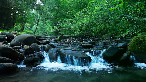 mountain stream in the forest