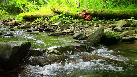 mountain stream in the forest