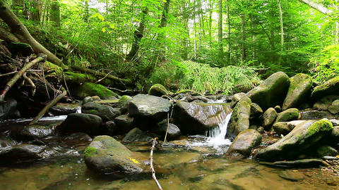 mountain stream in the forest