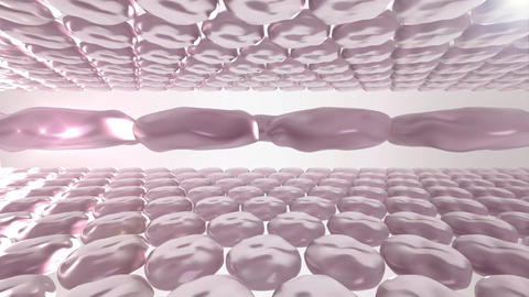 Rejuvenating renewal of skin cells 3d animation Animated GIF 23751541 ...