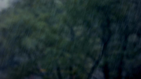 Heavy rain on the blurred background GIF 動畫 23905171 | MotionElements