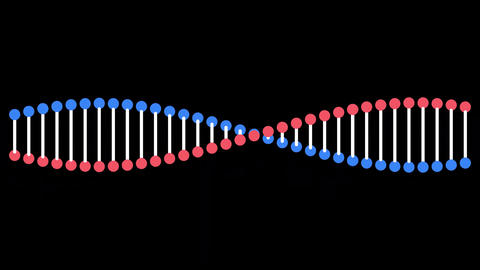 Animation of DNA molecule rotating GIF 24024584 | MotionElements