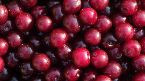 Sour red cherry background rotation. Fre 애니메이션 GIF 24030236 ...