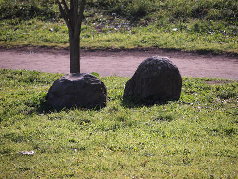 Ruins of Rome on a Sunny Day in the Park