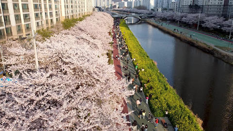 Spring of Oncheoncheon citizens park 06
