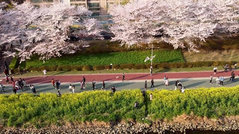 Spring of Oncheoncheon citizens park