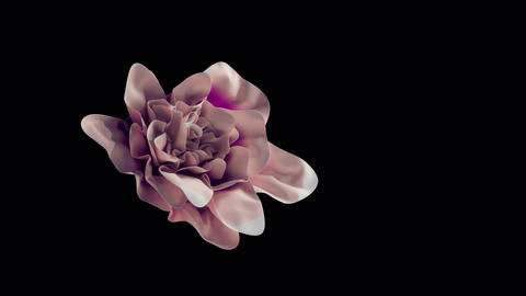Flower Textile Art Alpha 4k Slow-mo