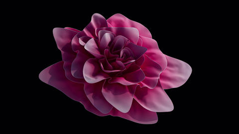 Flower Textile Art Alpha 4k Slow-mo