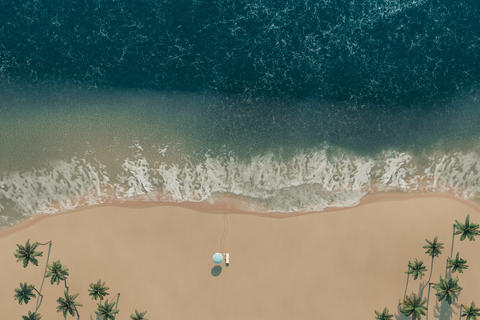 3d rendering of palm beach with chair and sunshade in top view