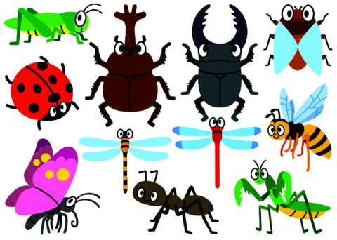 Insect series (Part 1)
