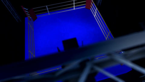 Boxing Ring withoutlogo